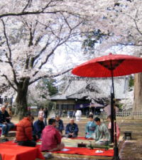 境内のご案内｜弘経寺 （ぐぎょうじ）「寿亀山天樹院弘経寺」 常総市